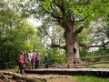 fuehrung im urwald sababurg nprw